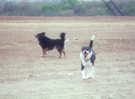 Parker & Zeppelin inspect 150 Highway